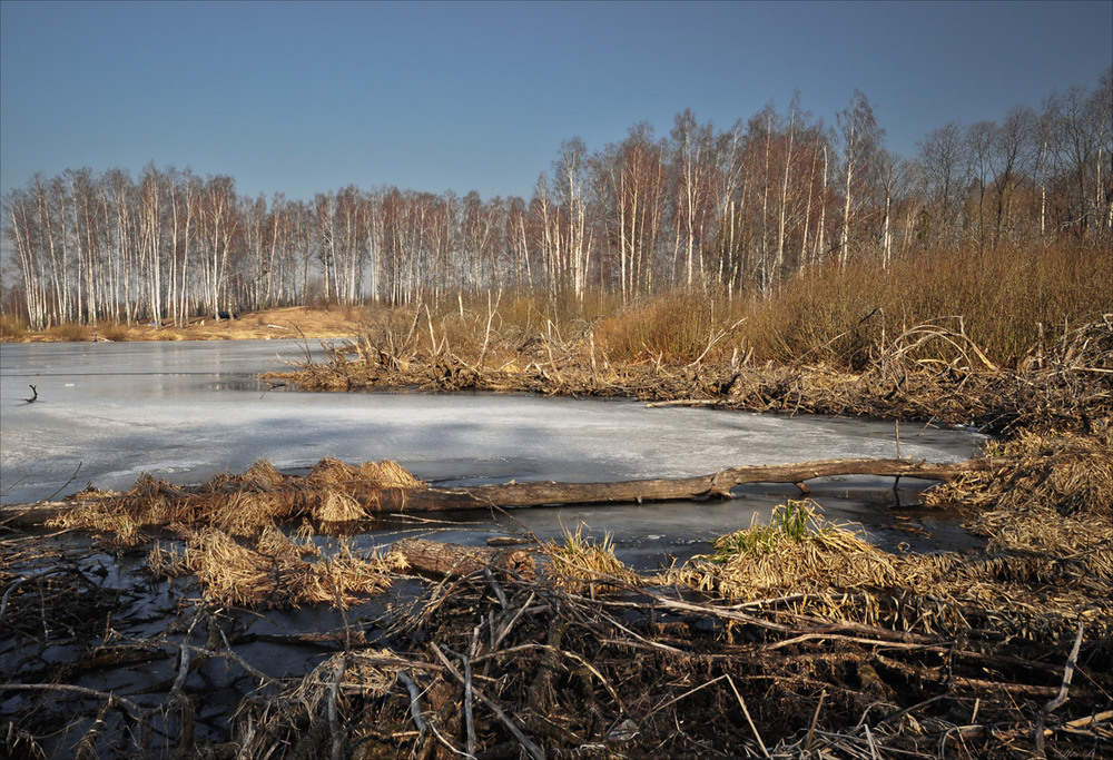 Фотографія Апрельский лёд... / Александр Баев (BAEv72) / photographers.ua