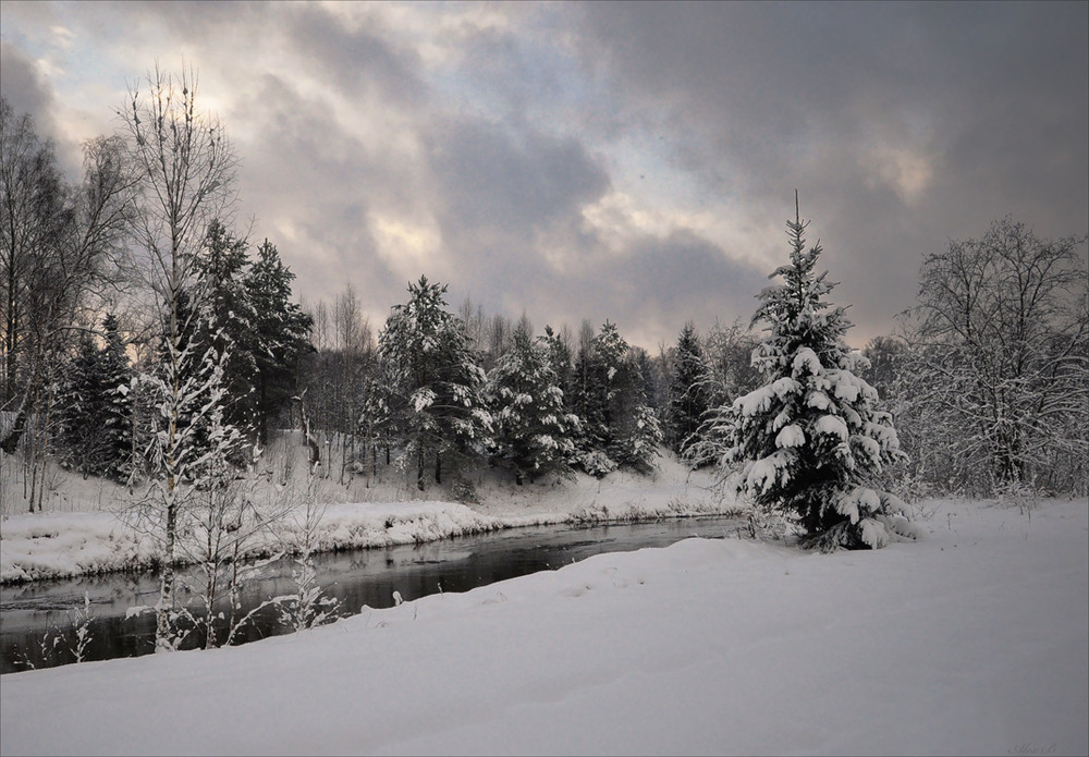 Фотографія Когда был снег, в декабре... / Александр Баев (BAEv72) / photographers.ua
