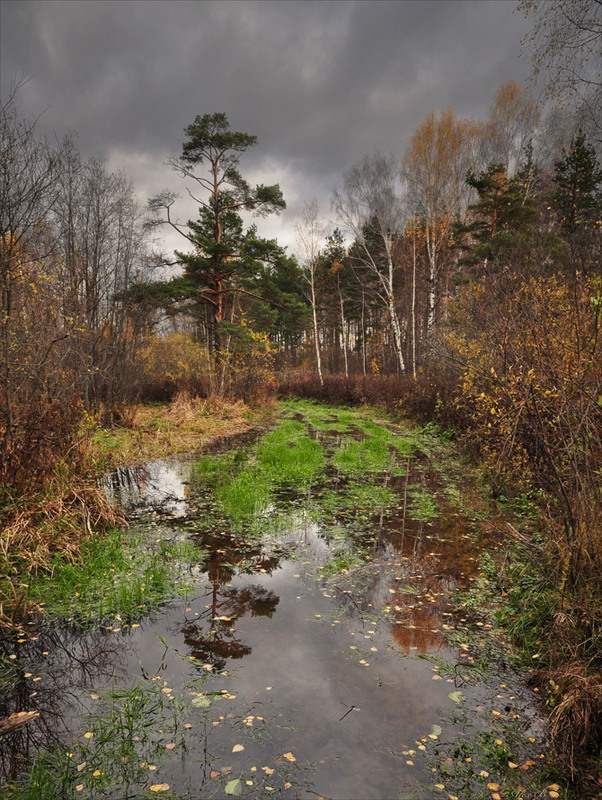 Фотографія Не проехать, не пройти.... / Александр Баев (BAEv72) / photographers.ua