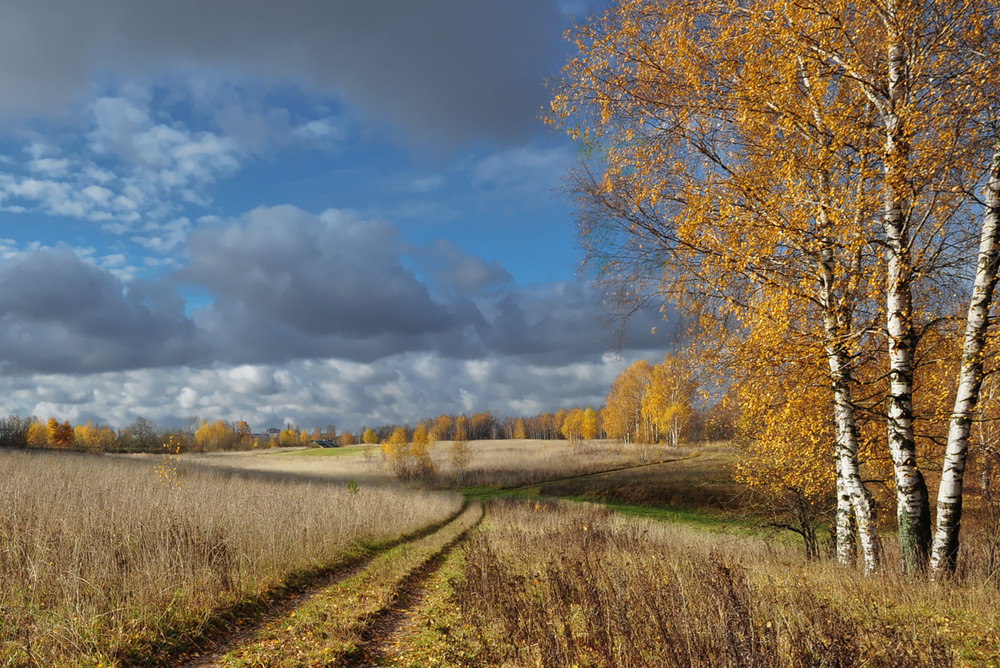 Фотографія В Осень Золотую... / Александр Баев (BAEv72) / photographers.ua
