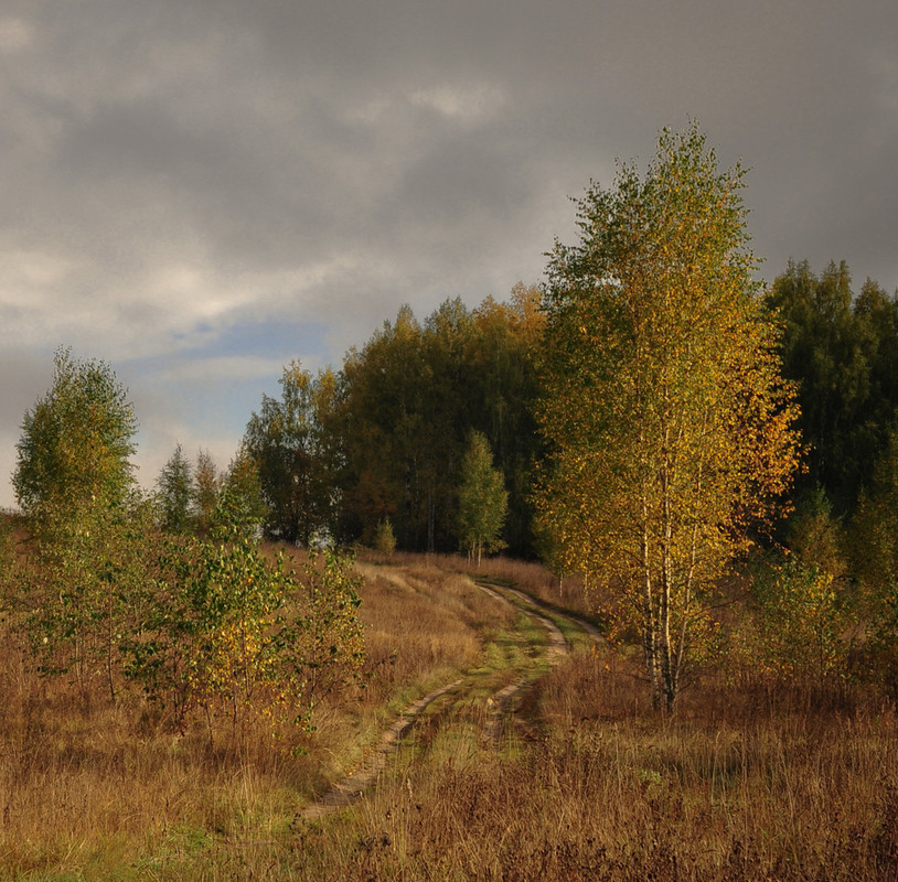 Фотографія По дорожке, в Осень... / Александр Баев (BAEv72) / photographers.ua