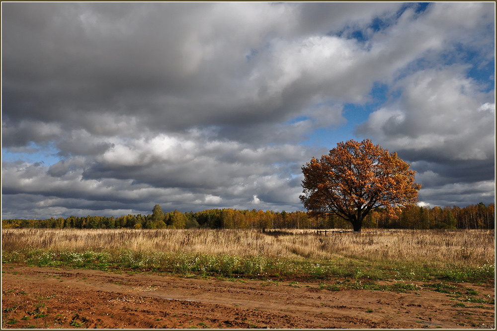 Фотографія Гламур / Александр Баев (BAEv72) / photographers.ua