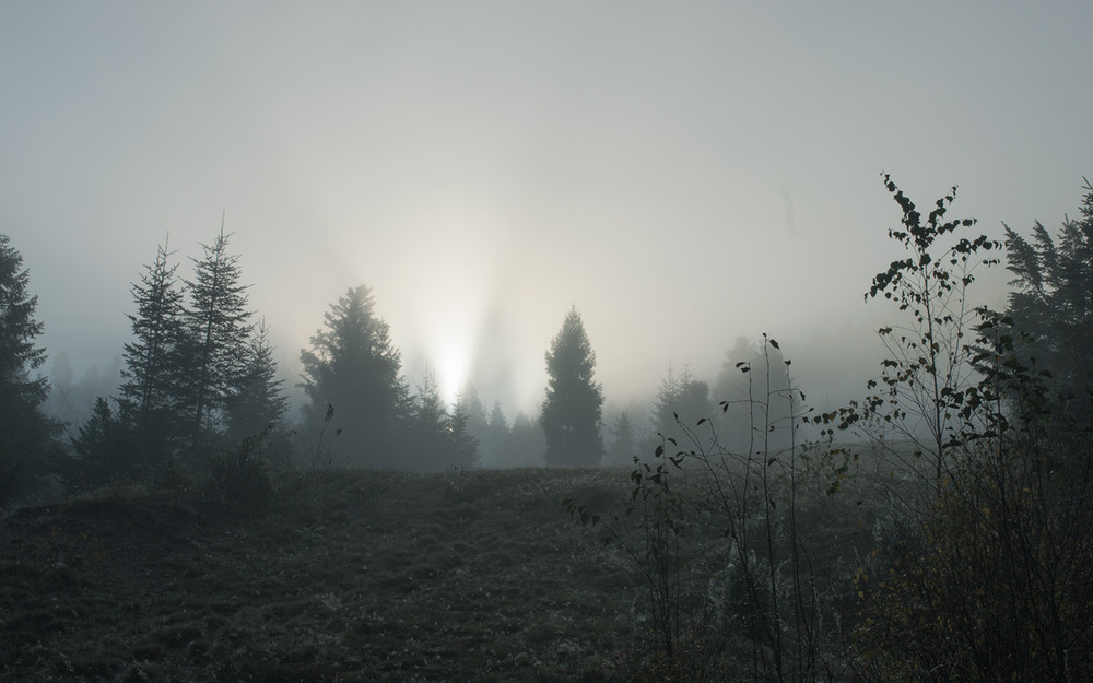 Фотографія крізь туман! / Marija Ilkiv / photographers.ua