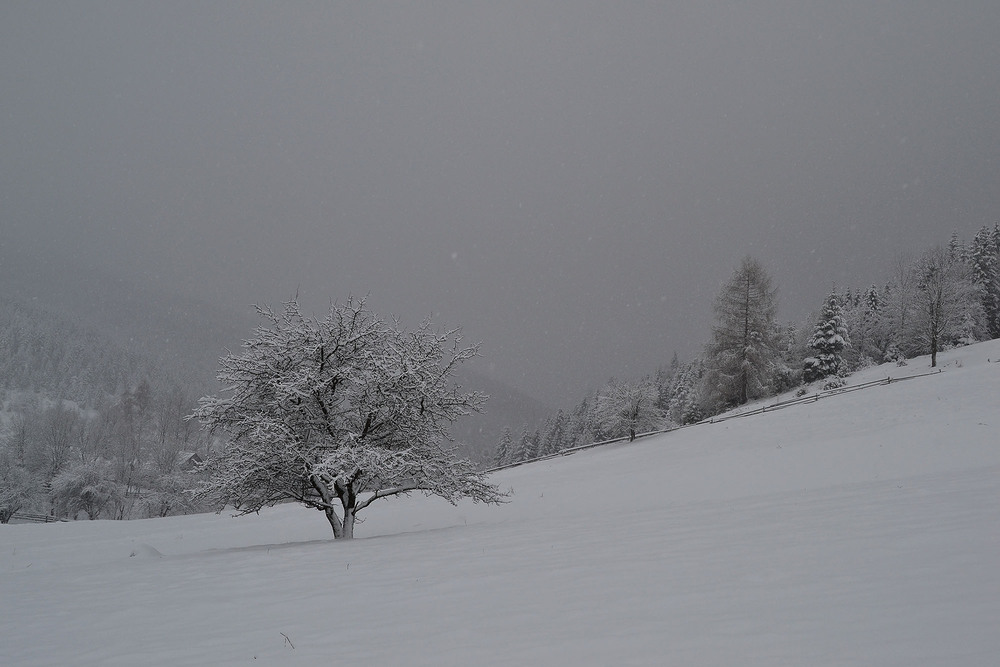 Фотографія падає сніжок.... / Marija Ilkiv / photographers.ua