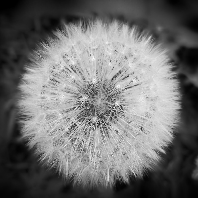 Фотографія ОДУВАН / Артемий П / photographers.ua