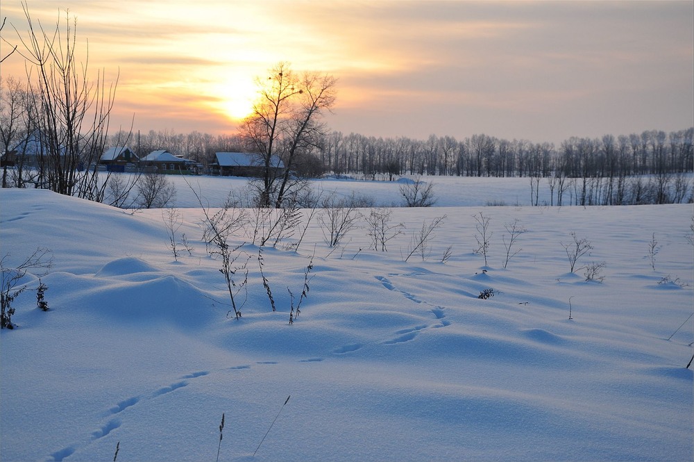 Фотографія Так выглядит зима / Vladimir Khlevniak / photographers.ua
