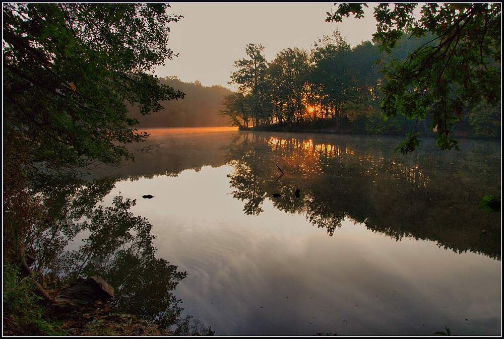 Фотографія Жовтневий ранок / Vladimir Khlevniak / photographers.ua