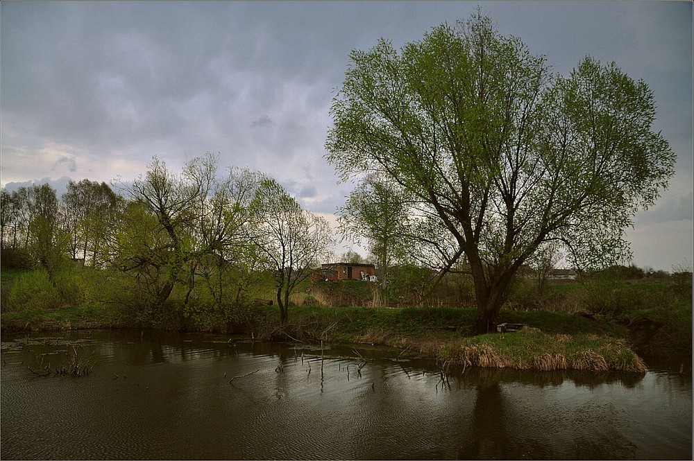 Фотографія Весна несбывшихся надежд / Vladimir Khlevniak / photographers.ua