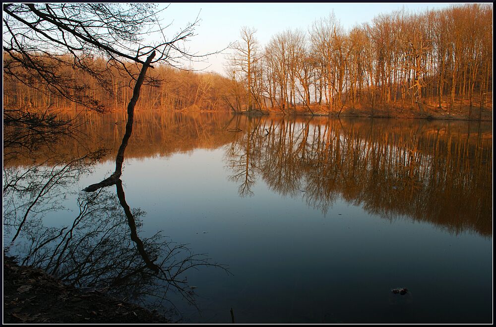 Фотографія Причуды весенних отражений / Vladimir Khlevniak / photographers.ua