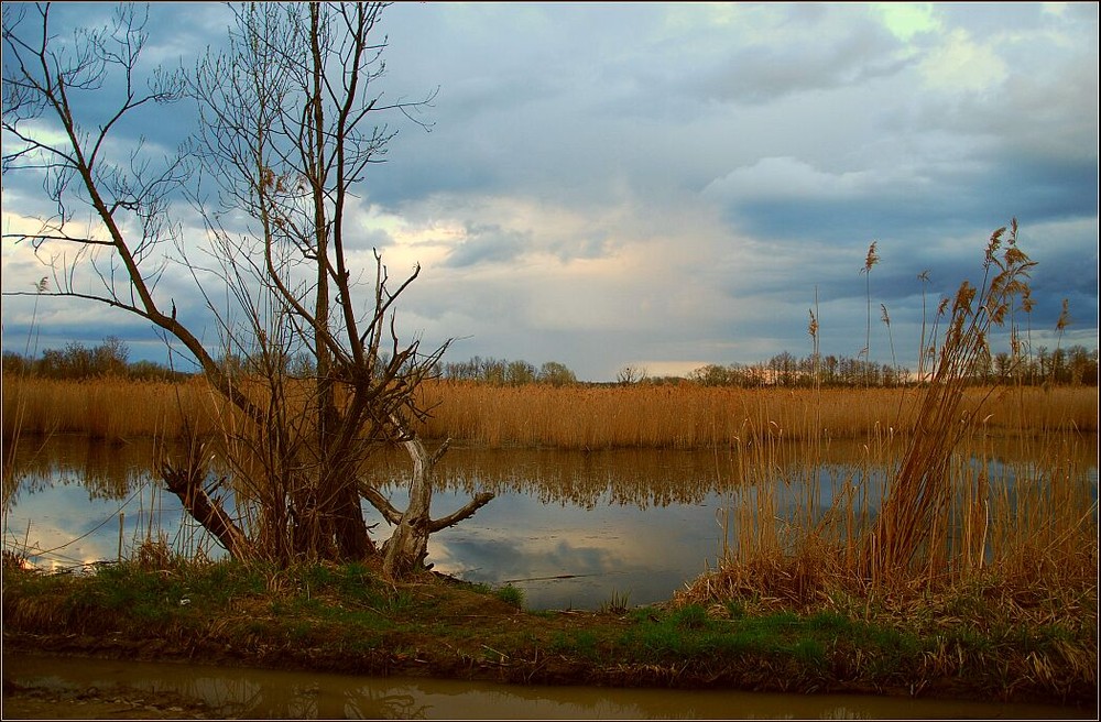 Фотографія Суходрев / Vladimir Khlevniak / photographers.ua