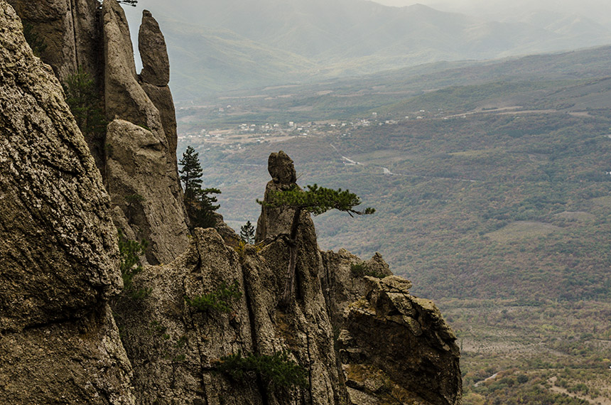Фотографія Bishop of Rome / Igor Smolin / photographers.ua