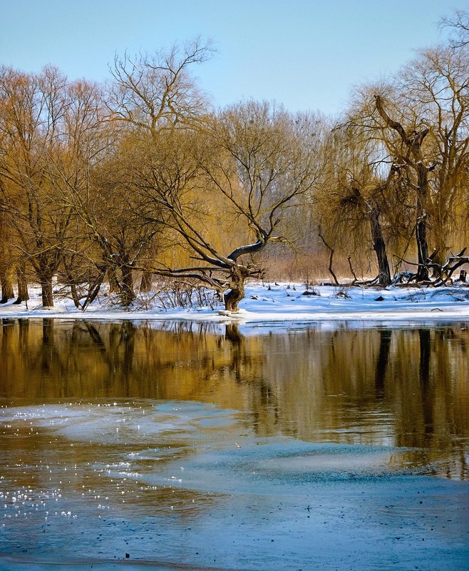 Фотографія Эти последние дни зимы... / Taabu / photographers.ua