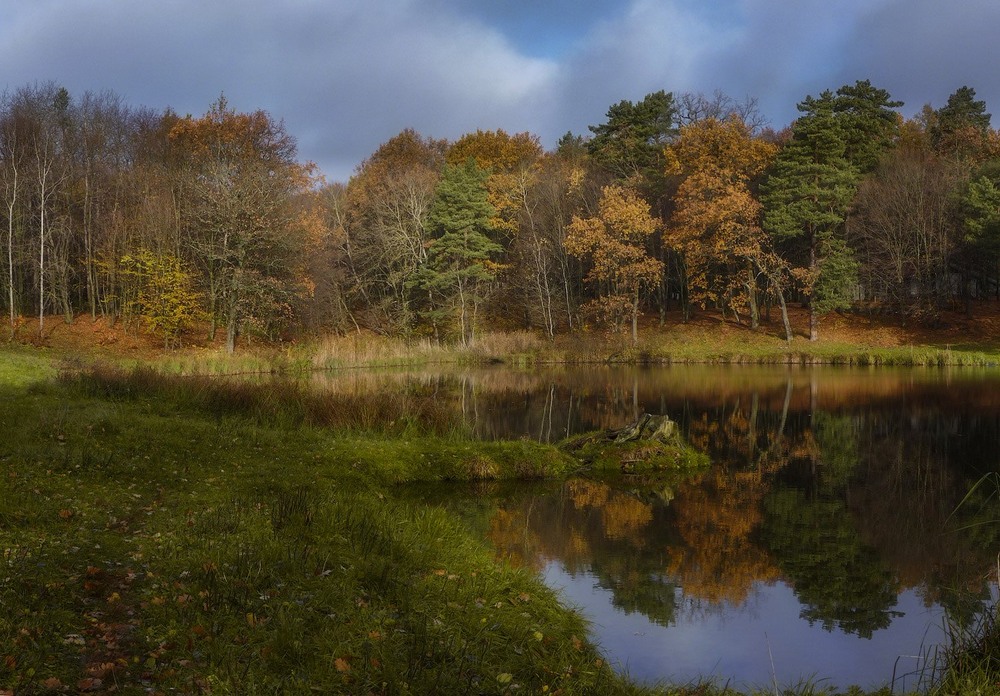 Фотографія Про осень,и пенёк,  напомнивший  мне о том, когда деревья никому не мешали... / Taabu / photographers.ua