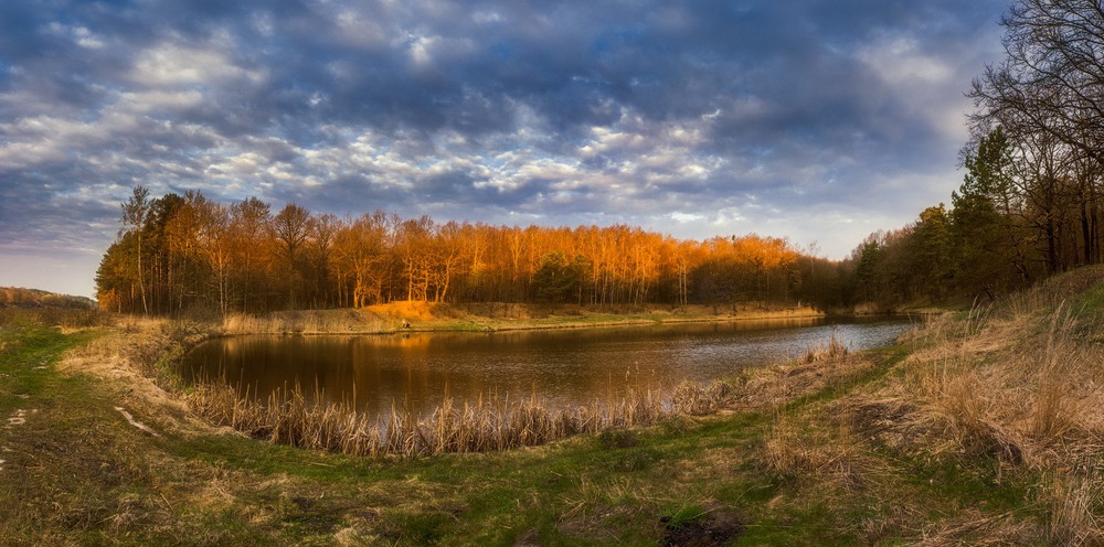 Фотографія Про лесное озерцо ,солнечное утро и весну 2... / Taabu / photographers.ua