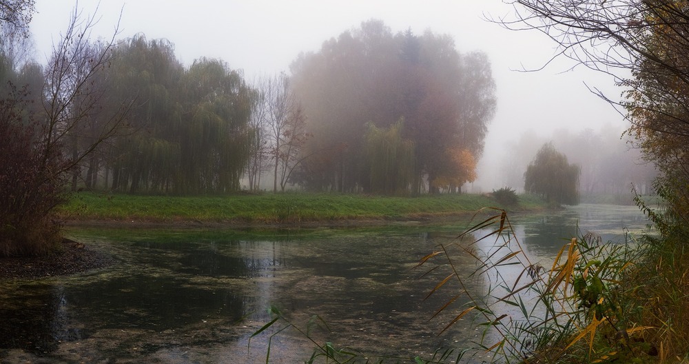 Фотографія Осеннее утро старого парка 2... / Taabu / photographers.ua