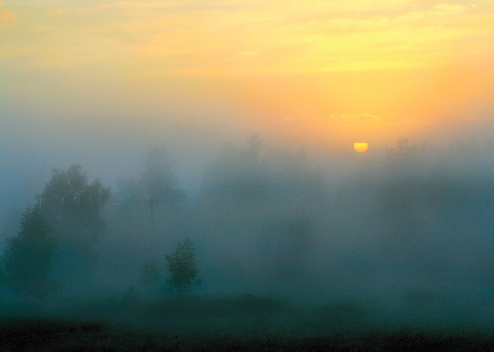 Фотографія Про уходящий туман 2... / Taabu / photographers.ua