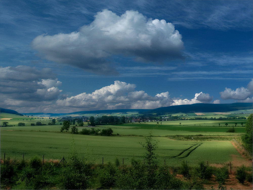 Фотографія Лето. Полдень... / Taabu / photographers.ua