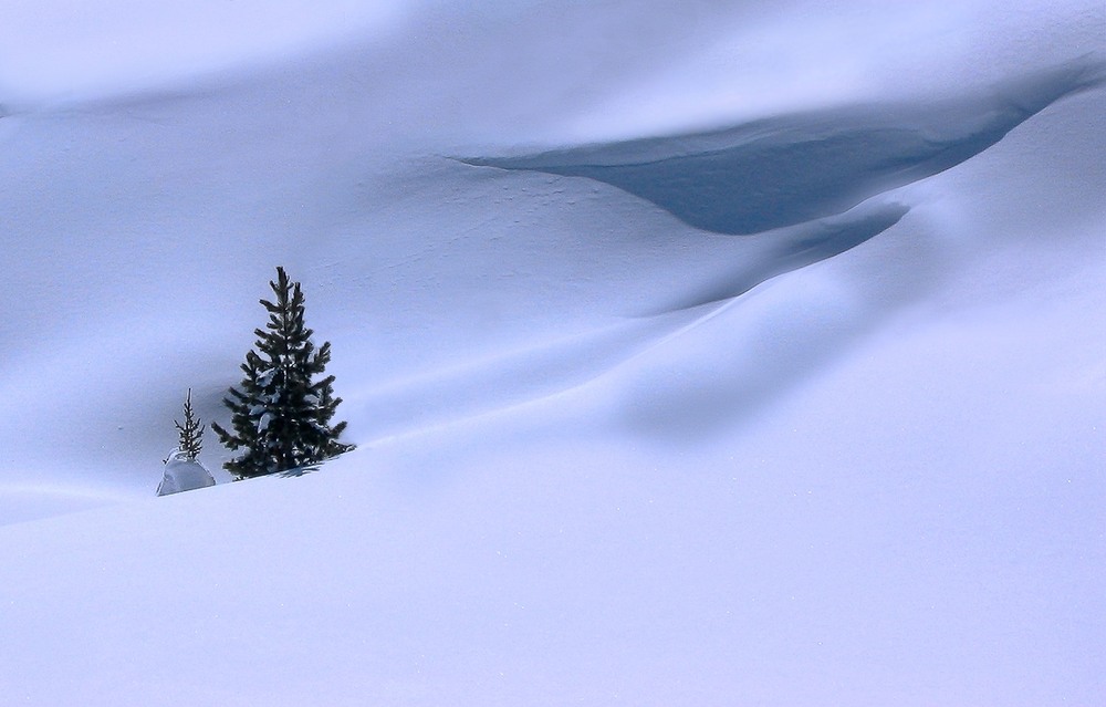 Фотографія Про снег, ветер и солнце... / Taabu / photographers.ua