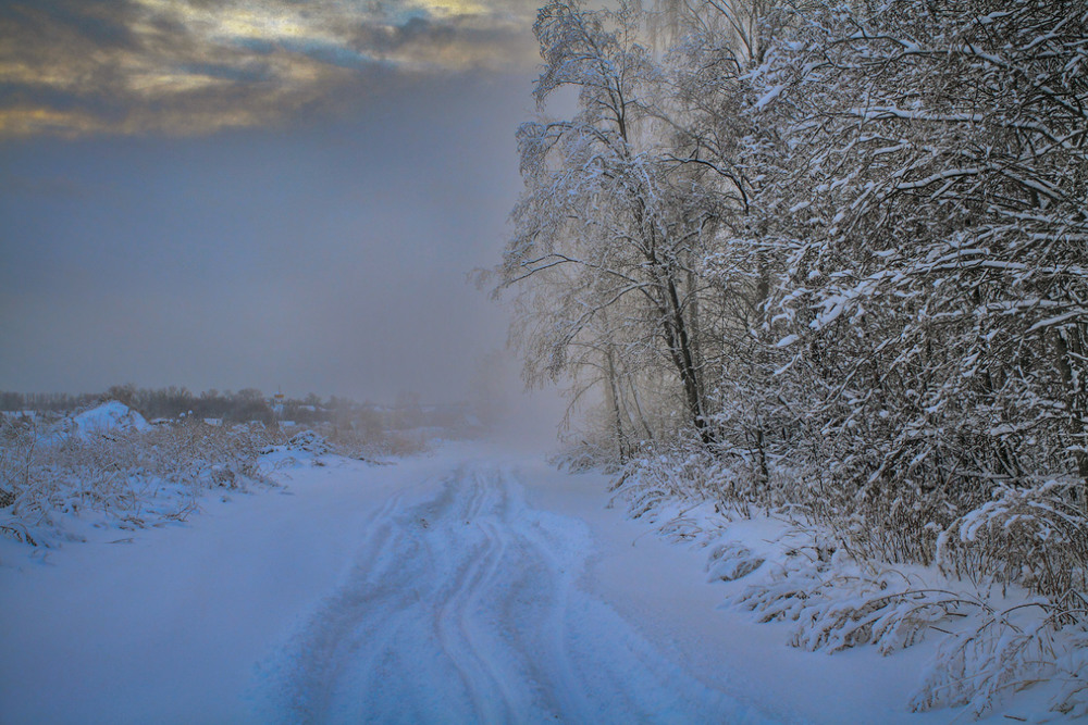Фотографія Зимним вечером,  у края леса... / Taabu / photographers.ua