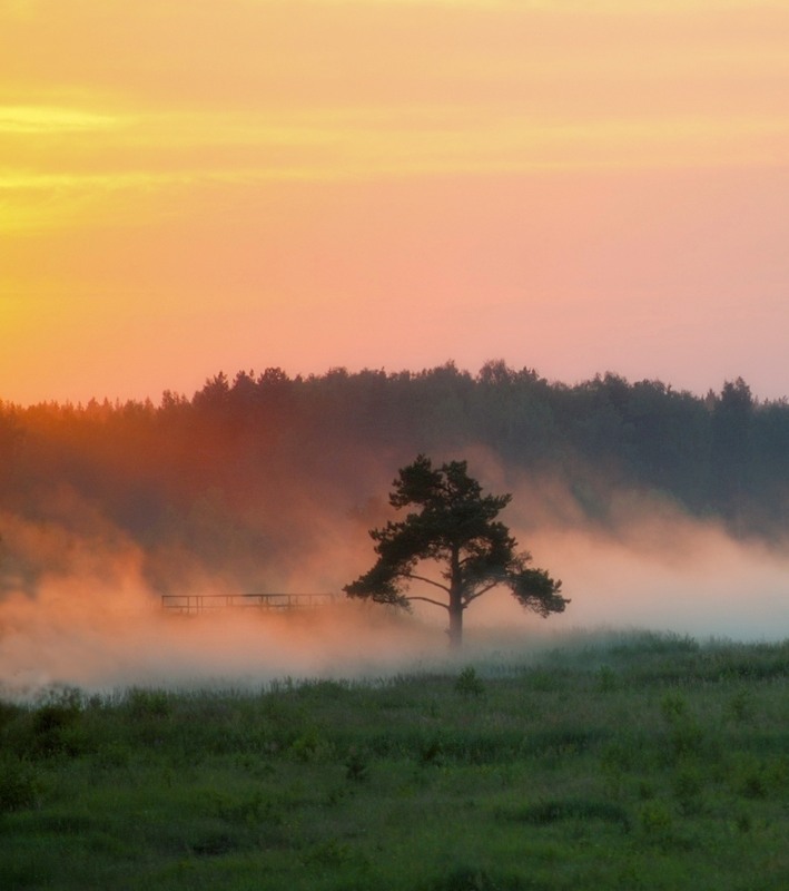 Фотографія На болотах  Полесья... / Taabu / photographers.ua