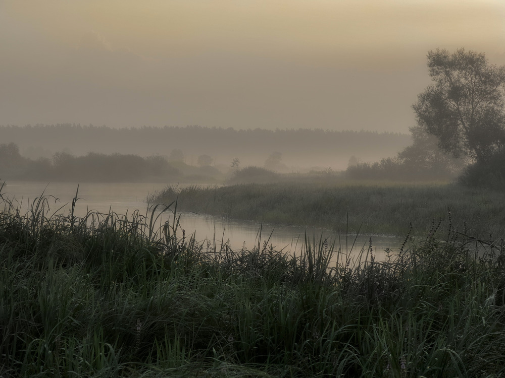 Фотографія Над рекою стелется утренний туман.., / Taabu / photographers.ua