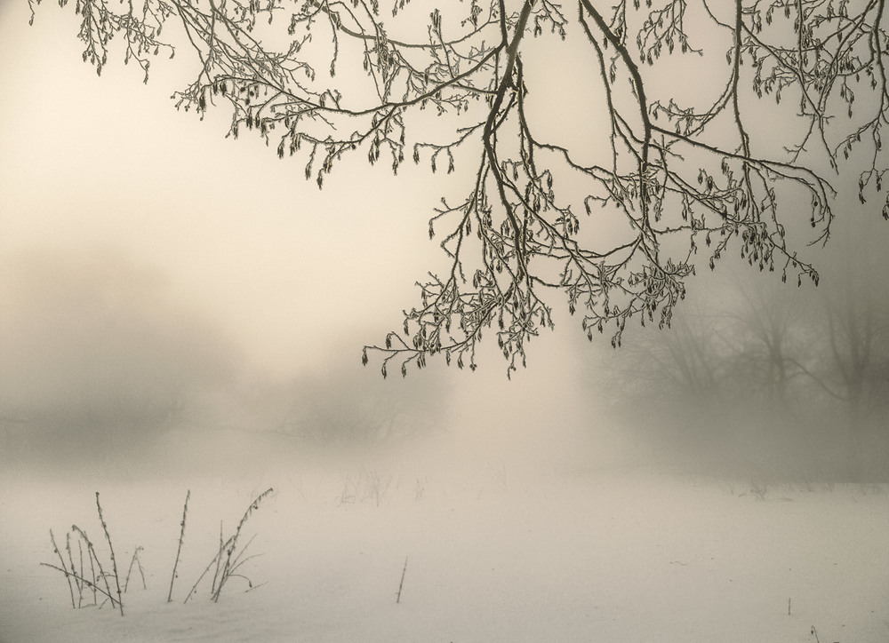 Фотографія Кружева зимы... / Taabu / photographers.ua