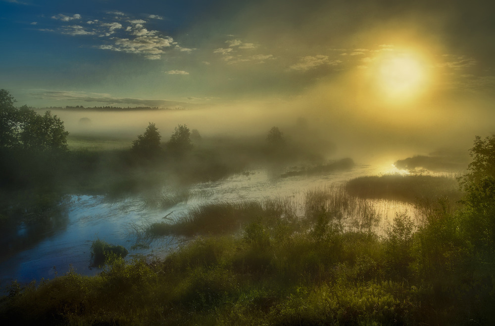 Фотографія Про  утро  на болотах Полесья, когда после принятого мы спим как сурки... / Taabu / photographers.ua