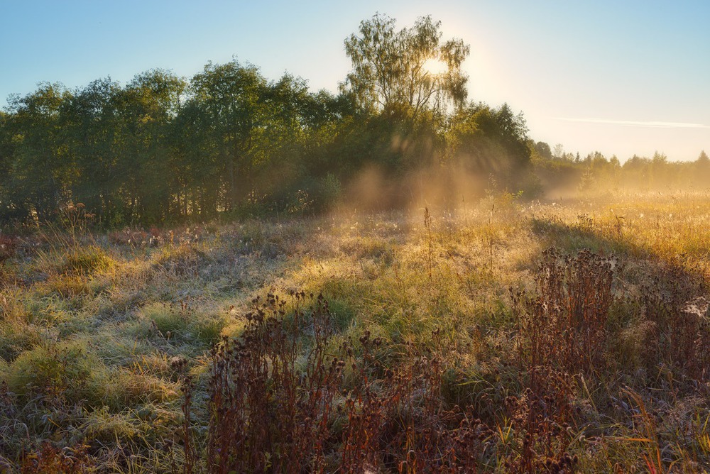 Фотографія И травы  осенью седеют... / Taabu / photographers.ua