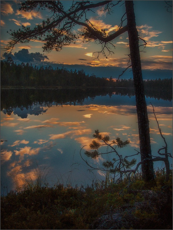 Фотографія Про осень , вечер  и озеро в лесу... / Taabu / photographers.ua