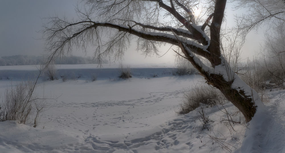 Фотографія Про февральские прогулки по речке в -20 градусов С. / Taabu / photographers.ua