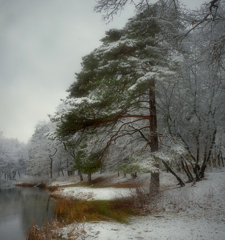 Фотографія Про то, как зима в осень постучалась... / Taabu / photographers.ua