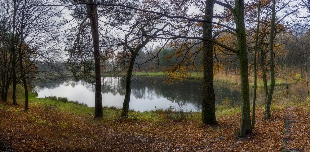 Фотографія Осенняя грусть лесного озера... / Taabu / photographers.ua