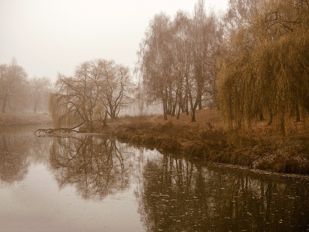 Фотографія Холодное дыхание осени... / Taabu / photographers.ua