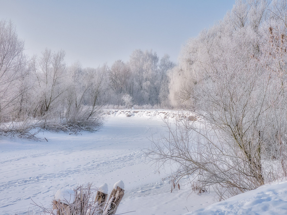 Фотографія Мороз и солнце-день чудесный!.. / Taabu / photographers.ua