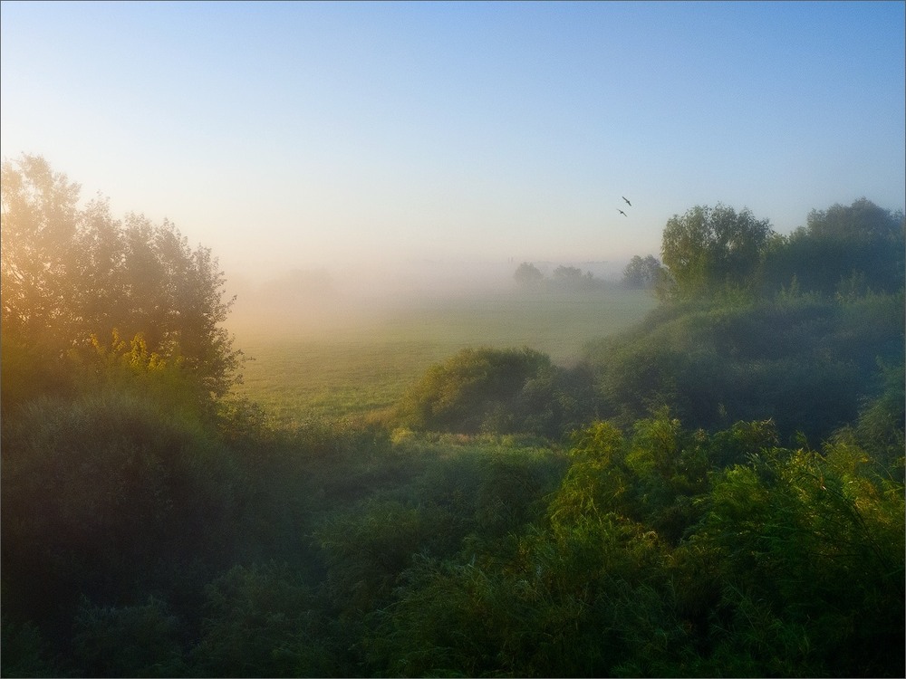 Фотографія Про туман, который растаял... / Taabu / photographers.ua