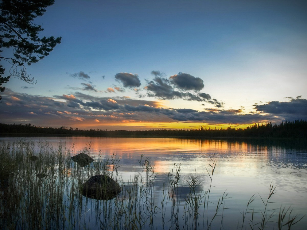 Фотографія Упал закат на озеро лесное... / Taabu / photographers.ua