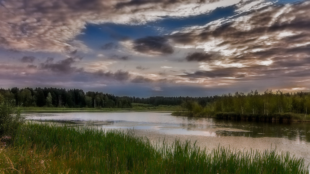 Фотографія Про вечер на лесном озере... / Taabu / photographers.ua