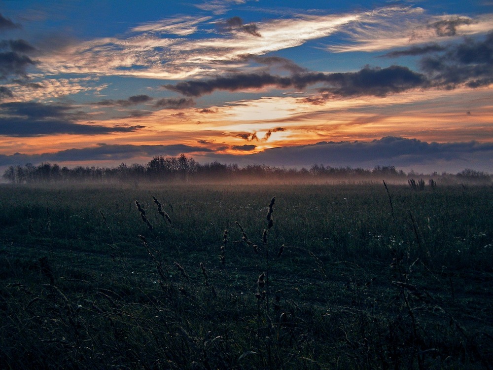 Фотографія Росное утро... / Taabu / photographers.ua