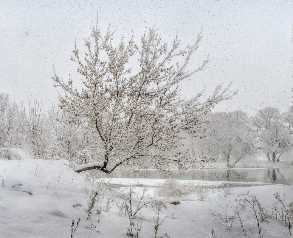 Фотографія Второе пришествие зимы..,или  а снег идёт...) / Taabu / photographers.ua
