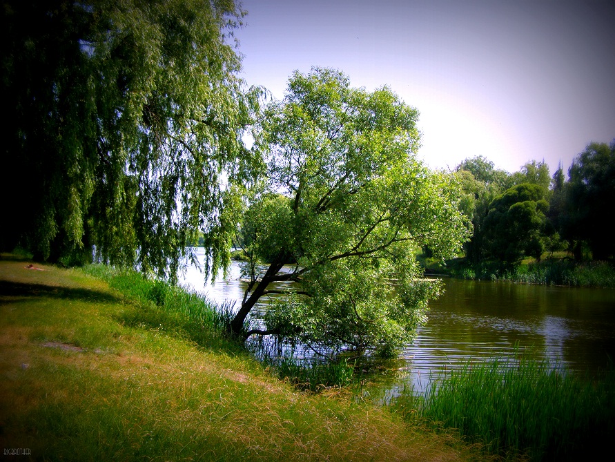 Фотографія Пейзаж / Big Brother / photographers.ua