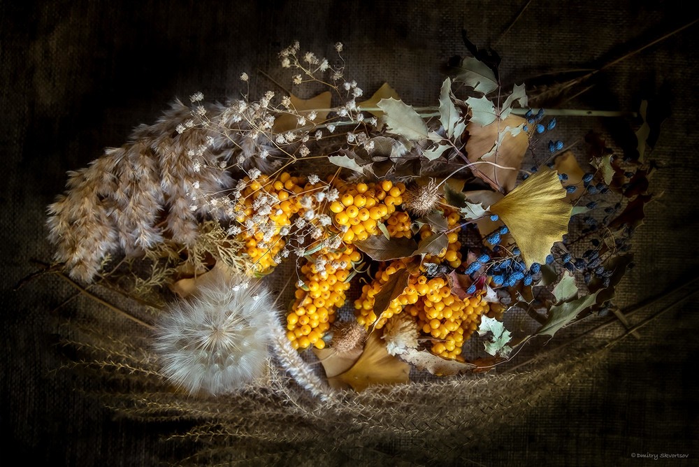 Фотографія Осень / Дмитрий Скворцов / photographers.ua