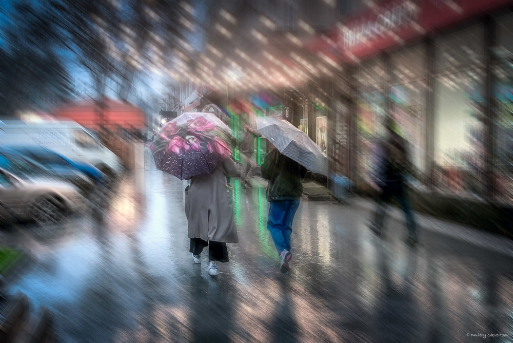 Фотографія Дождливая весна. / Дмитрий Скворцов / photographers.ua