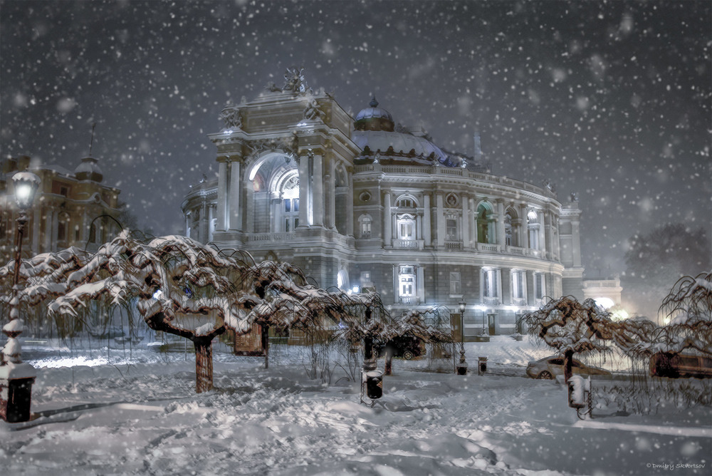 Фотографія Вспомнить снег. 29 декабря 21012 года / Дмитрий Скворцов / photographers.ua