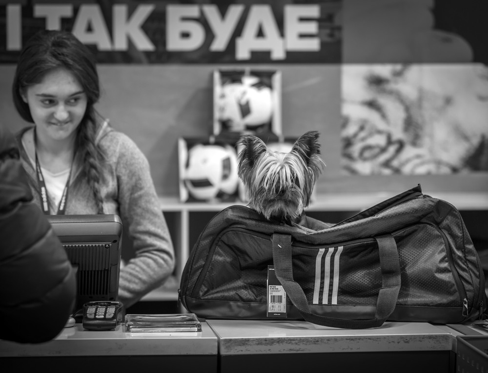 Фотографія Сумчатые собаки - Так будет!!! / Дмитрий Скворцов / photographers.ua