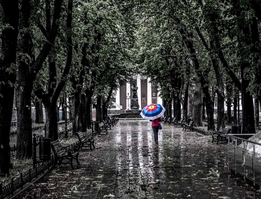 Фотографія Прогулка после дождя / Дмитрий Скворцов / photographers.ua