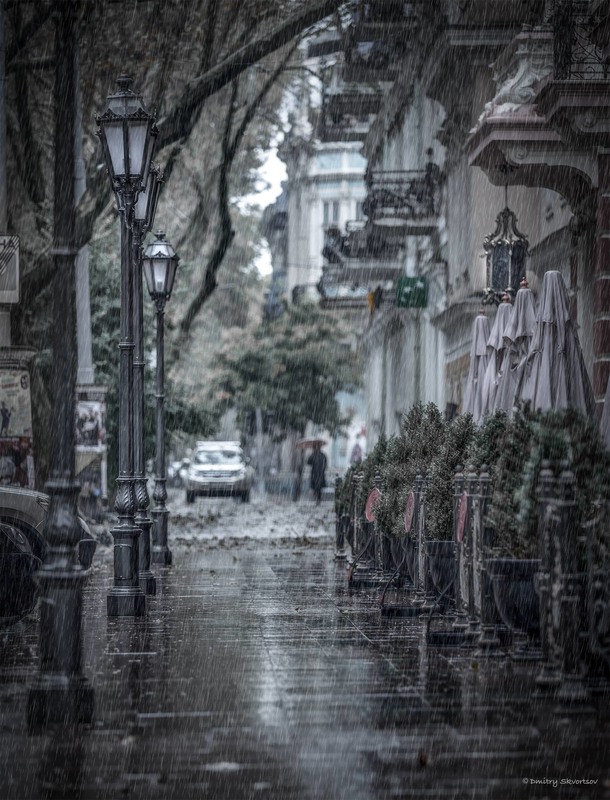Фотографія Дождь, звонкой пеленой наполнил небо майский дождь... (ДДТ) / Дмитрий Скворцов / photographers.ua
