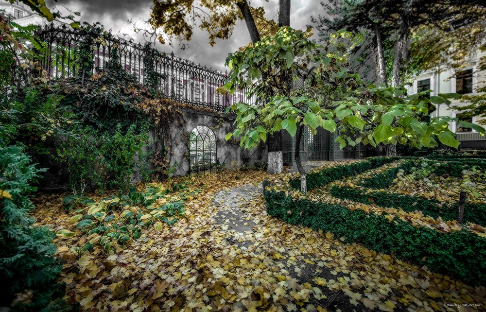 Фотографія Сад заснул и листья сбросил... / Дмитрий Скворцов / photographers.ua