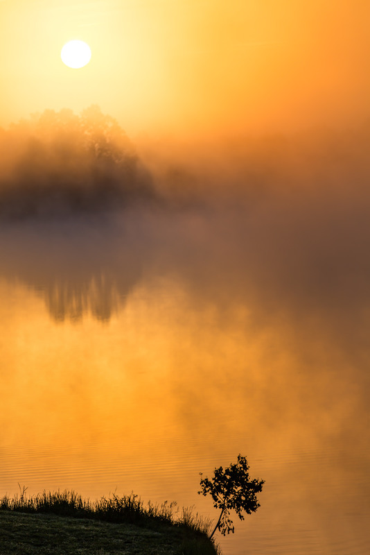 Фотографія Туман и солнце 2 / Дмитрий Скворцов / photographers.ua