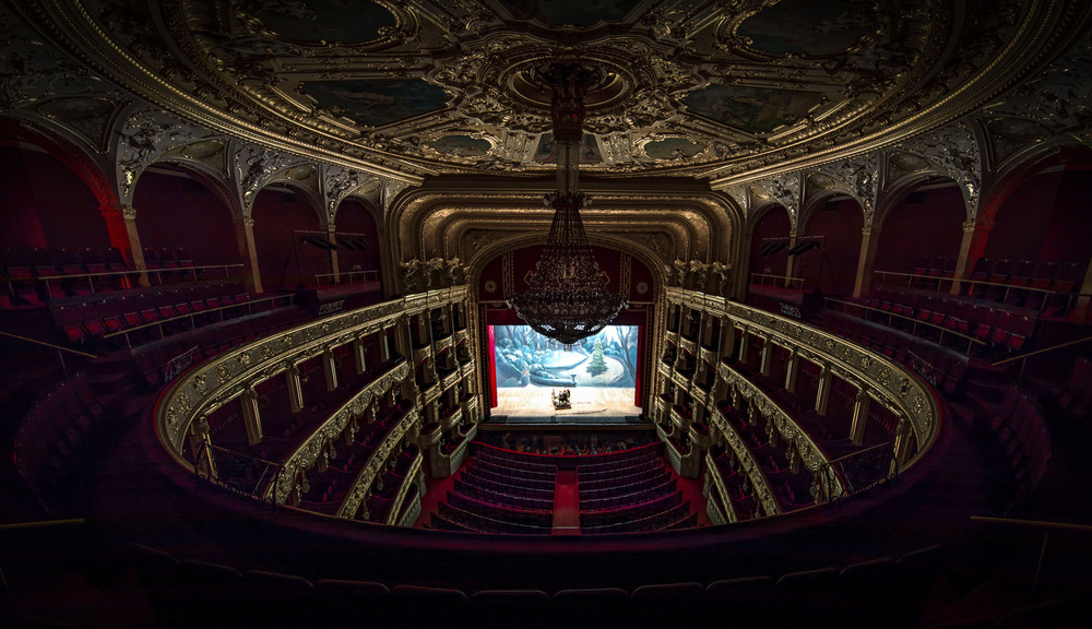Фотографія Театр для двоих / Дмитрий Скворцов / photographers.ua