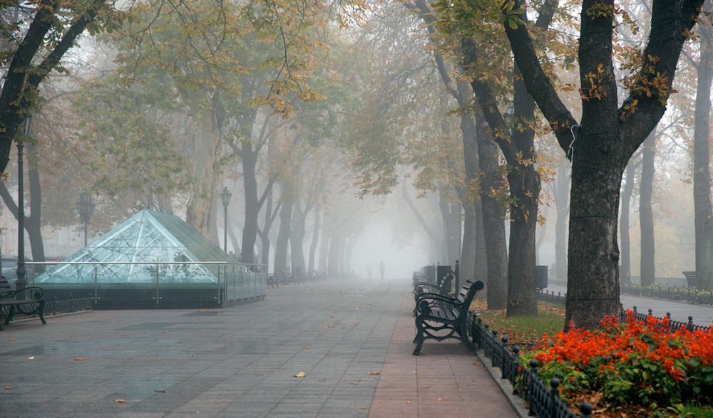 Фотографія Дыхание осени. / Дмитрий Скворцов / photographers.ua